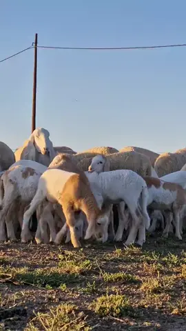 اذكر الله 🥰🥰🥰🥰🥰