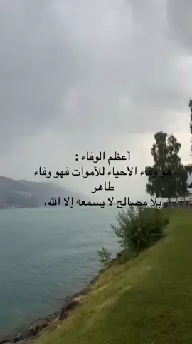 #اكسبلور #راشد الماجد 