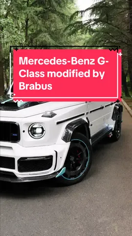 Mercedes-Benz G-Class modified by Brabus 