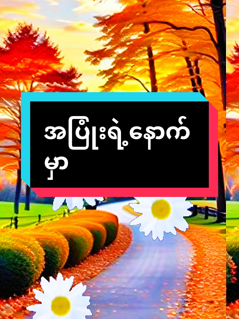 #အပြုံးရဲ့နောက်မှာ#အတွေးအခေါ်စာစုများ #မူရင်းရေးသားသူအားလေးစားစွာ credit ပေးပါတယ် #naingoo .008#fypシ゚ 