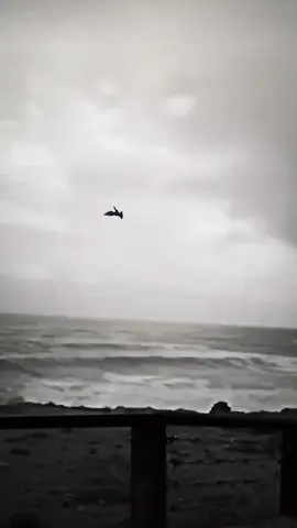 #حمام_لوت_البصره #مليون_مشاهدة❤ #صعدو_الفيديو #محضوره_من_الاكسبلور_والمشاهدات #الشعب_الصيني_ماله_حل😂😂 