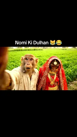 Nomi Ki Dulhan 😹😂 #funnyvideos #funnybaby #monkeymakeup #monkeyvideo #monkey 