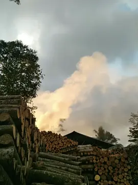 cerah persis tempate