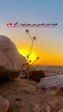 #قلبنا مش قاسي بس جبرتونا نتغير