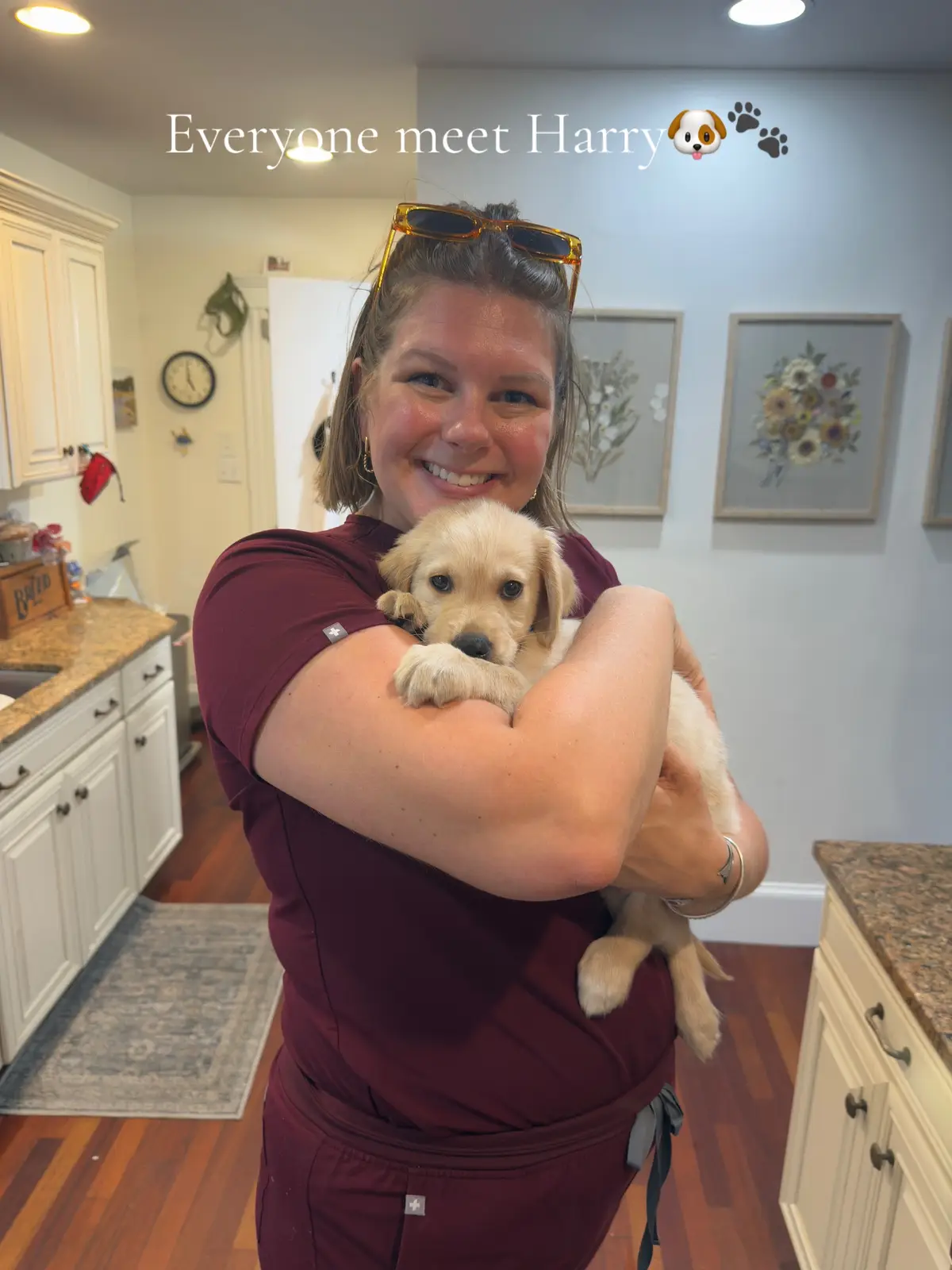 Meet the newest edition to the family #goldenretriever #goldenretrieverlife #puppytiktok #puppy 
