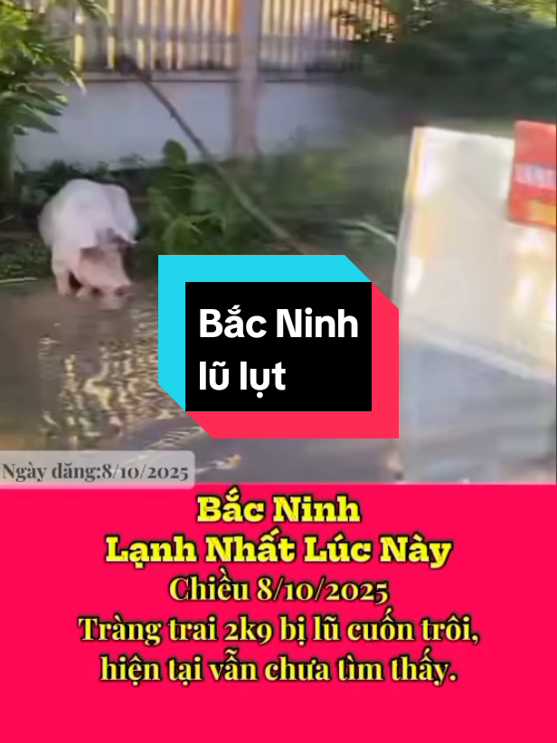 Trả lời @tungnguyenhongtinh Bắc ninh lạnh nhất lúc này.#bacninh #tintuc #lulut #theanh28 #xuhuongtiktok 