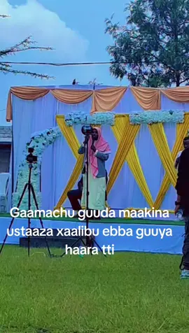 #sheeri fi kopilini ki goodhaa