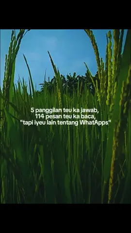 #CapCut katakata bijak penuh makna #storysunda #storywa #storykehidupan 