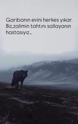 #ikigözümünçiçeği🎈🌸 #darıdünya🌸🍂 