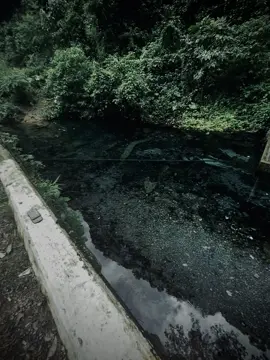 爱情就像一首歌,无论多好,总有结束的时候.
