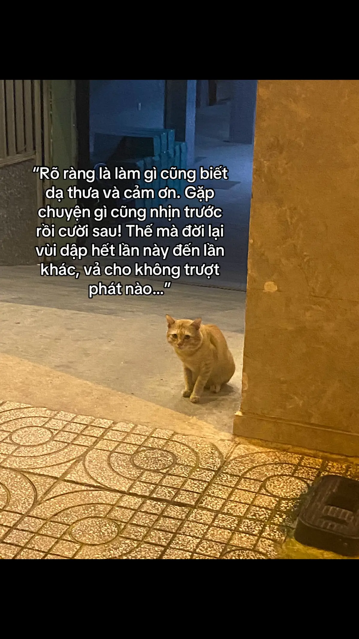 #fypシ゚ 