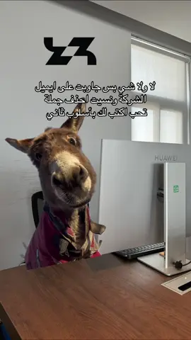 😂😂😂 #33group #شركة_ثلث_الكل #ثيرتي_ثري_ميديا #تيك_توك #شركة_تسويق 