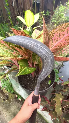 #damascus #arit #alatberkebun #tukangngarit #wonosobo24jam 