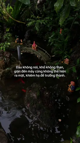 …#tamtrang #story 