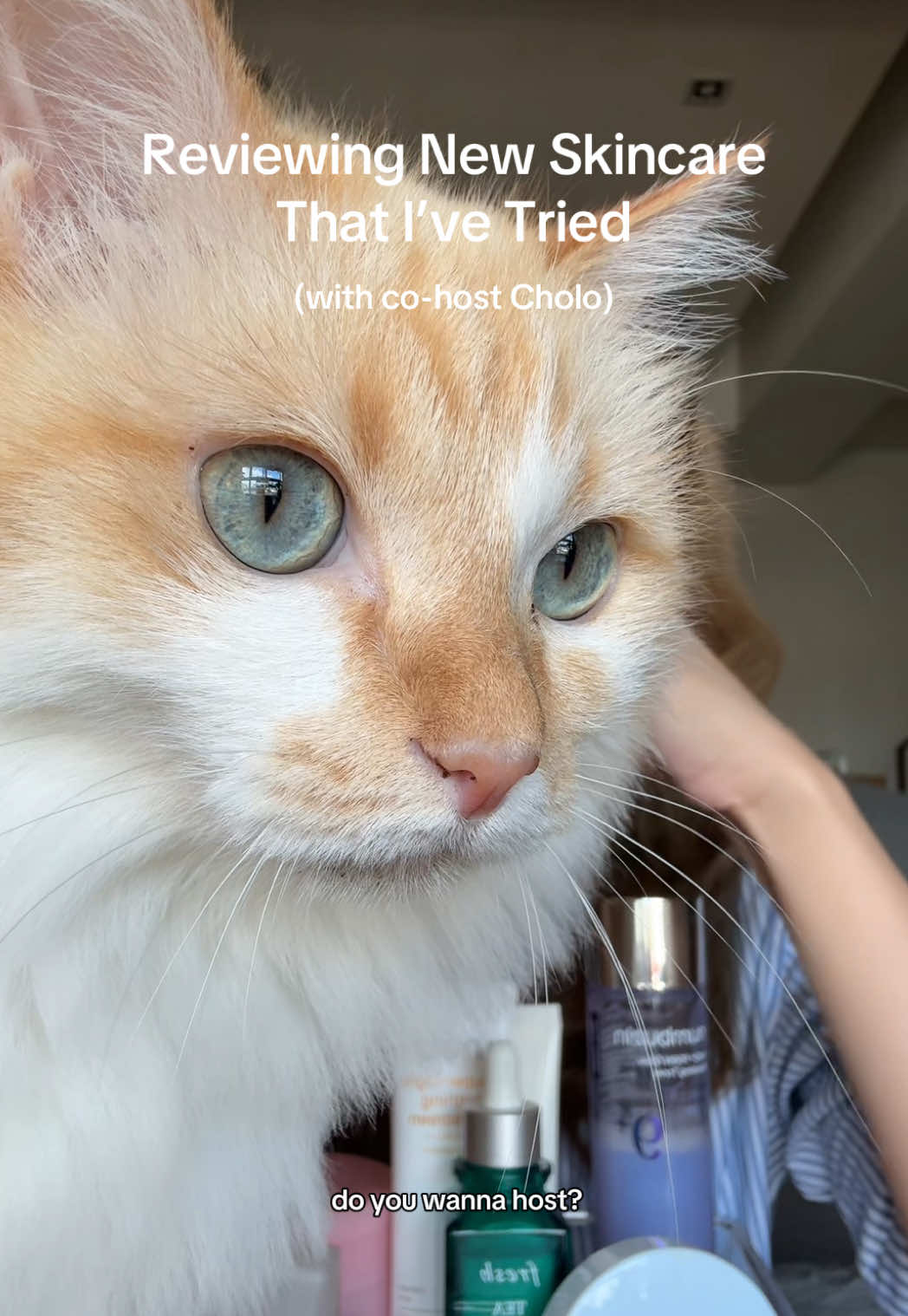 She’s baaaackkkk (cholo, not me)  #skincarereview #kbeauty #viralskincare #creatorsearchinsight #combinationskin @numbuzin_global @numbuzin Malaysia @medicube global @medicube Malaysia @Fresh Beauty @sonsie @INGU Skin @Beauty of Joseon 