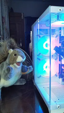 dia mau minum susu 🐿️ #lucu #tupai #handpuppet #joget 