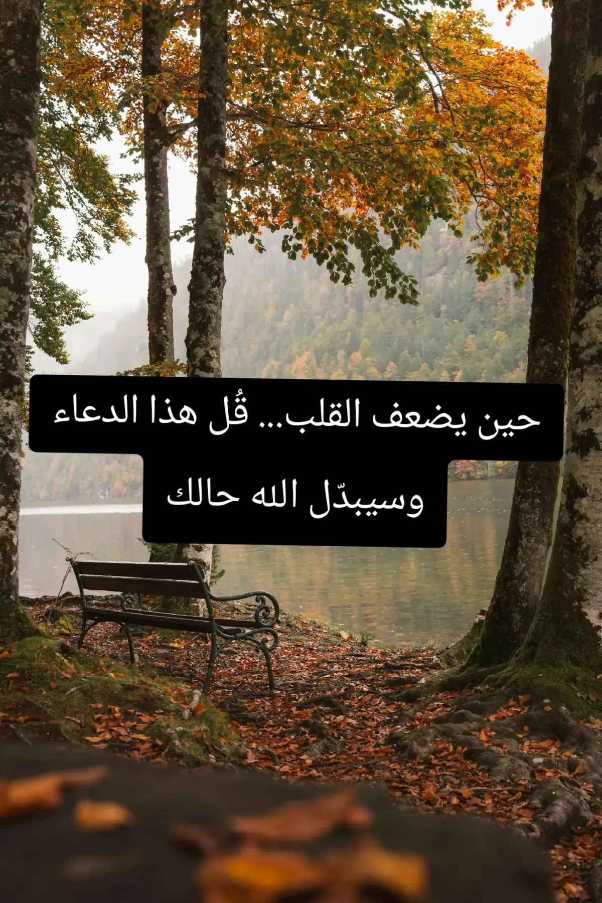 #دعاء #مغفرة #راحة_القلب