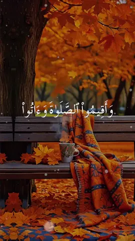 Part 13| Complete recitation of Surah Al-Baqara by Sheikh Ali Jaber #alijaber #علي_جابر #quran #قران_كريم #beautifulquranrecitation