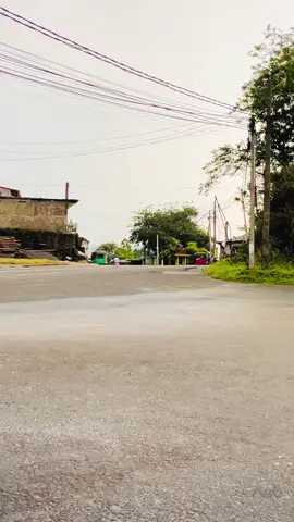 හිත හොද අපෙ කොල්ලෝ ❤️ අම්පාර නුවර සෙන්සරේ ❤️ #udadumbara  #bus_video_srilanka  #gayan_hotel_hunnasgiriya 