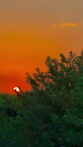 وعلمت الجروح سوالف الخرسان 💔🥺..#تصويري📷 #قتباسات #عبارات #الفديو_موجود_بقناتي_تلكرام_بلبايو🦋💘 