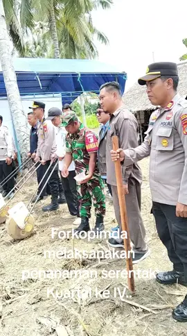 penanaman serentak Kuartal ke IV tanaman jagung untuk dukung ketahanan pangan nasional.. #fyppppppppppppppppppppppp  #viral????tiktok  #fypage  #baharkampolri  #binmaspolri 