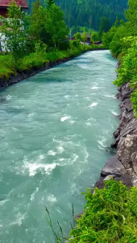 SWITZERLAND 🇨🇭⛰️🌊🌳🏡 #lauterbrunnen_switzerland🌸🍁 #luzern_switzerland___snow💕 #photographytricks❤️familytimes #rosenlaui_switzerland_rosenlaui🏔️ #rosenlaui_schweiz_rosenlaui 