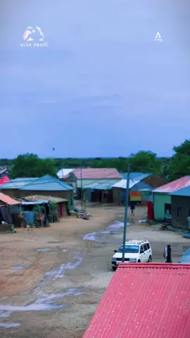 -D o m c o 📍 #CAPCUT #fyp #foryoupage #for roopki galabta daay🌧️ r e p o s t dhalinyaro