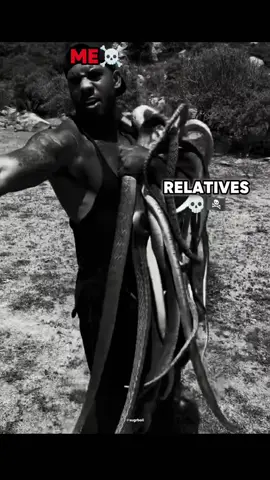 NOT EVERY RELATIVE IS REAL… SOME JUST SLITHER 🐍 #SNAKEBLOOD #FAKERELATIVES #DARKTRUTH #SAVAGEVIBES #THUGENERGY 