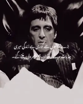 Great spectators have gone through life myEmotions died and we became stones.#peakyblinders #clips #foryoupage #urdupoetry #unfrezzmyaccount #fypppppp