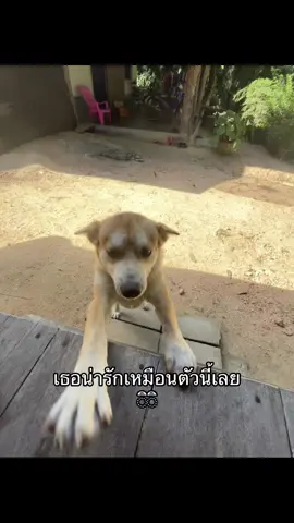 เธอเหมือนตัวนี้👽 #เธรด #เธรดเศร้า #เธรดเพลง #fyp #ฟีดดดシ 