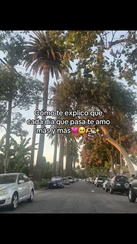💗✨🫶🏻@Nicol #parati #paradedicar 