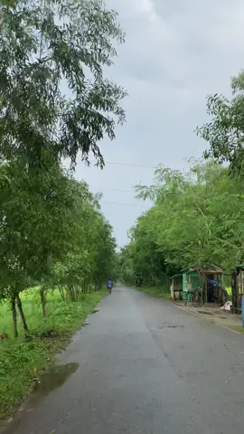অক্টোবর মাস🫶 #অক্টোবর #mirajtraveler #foryou #bangladesh @TikTok Bangladesh 
