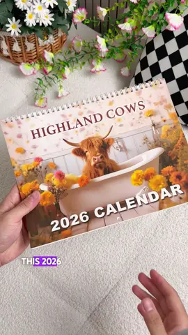 #calendar #2026calendar #highlandcow #forgift #globalpick 