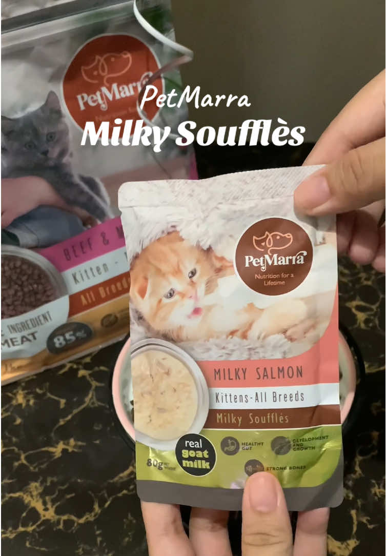 PetMarra Milky Souffles — super creamy with real goat’s milk pa 😻 Perfect for kittens & all breeds. Masarap na, healthy pa ✨ Bagong favorite ni miwo! 🥰 #PetMarra #wetfood #catsoftiktok #goatmilk #petmarrawetfood 