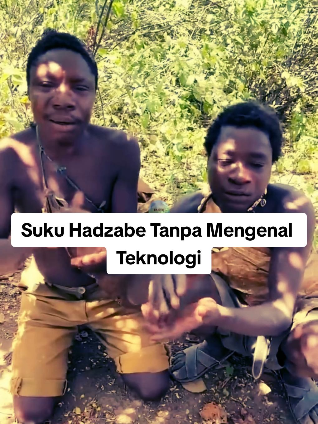 Suku Hadzabe Tanpa Mengenal Teknologi #sukuhadzabe #teknologi #alam #faktamenarik #meledak🔥 