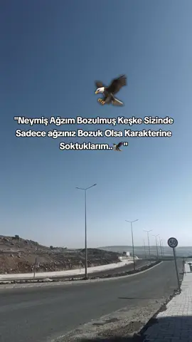 RACON SÖZLERİ ALALIM 🦅  ağır sözler alalım  takip edin arkadaşlar hedef 4bin takipçi ⚜️📌🗽⚜️📌  #sozlerdiyarı #lafsokansozler #ağırsözler #kapaksözler #harbisözler 