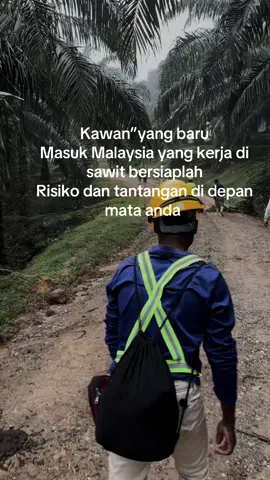 Semoga sehat”batur baru#kulisawit #tkimalaysia🇲🇾🇮🇩 #resiko #f 
