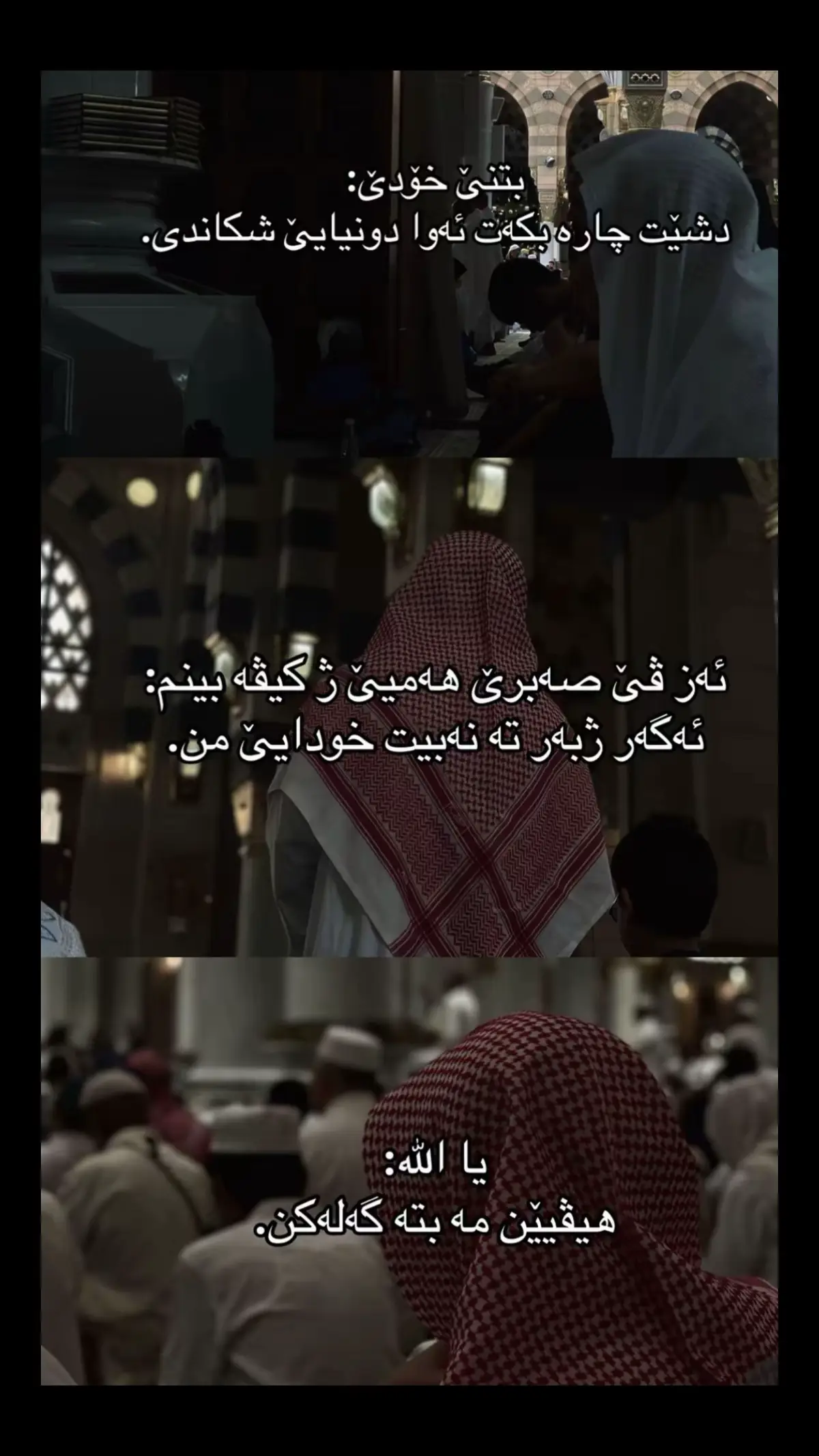 #explore #foryou #foryoupage #viral #الحمدالله_علی_کل_حال❤ 