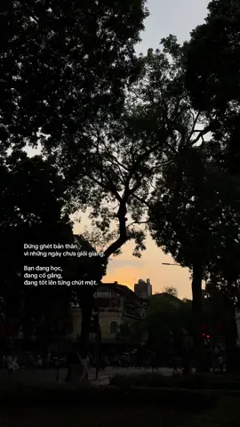 Đừng ghét bản thân vì những ngày chưa giỏi giang. Bạn đang học, đang cố gắng, đang tốt lên từng chút một. #chuyencuahieu 