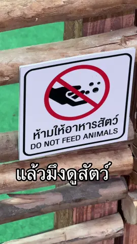 ครีเอทดี #seaconsquare 