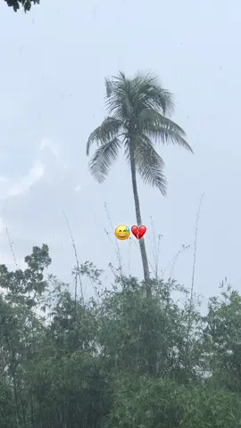 @# : তোমাকে আমি সব সময়  চায়বো ।    তুমি আমার🫀 থাকো JA 💔