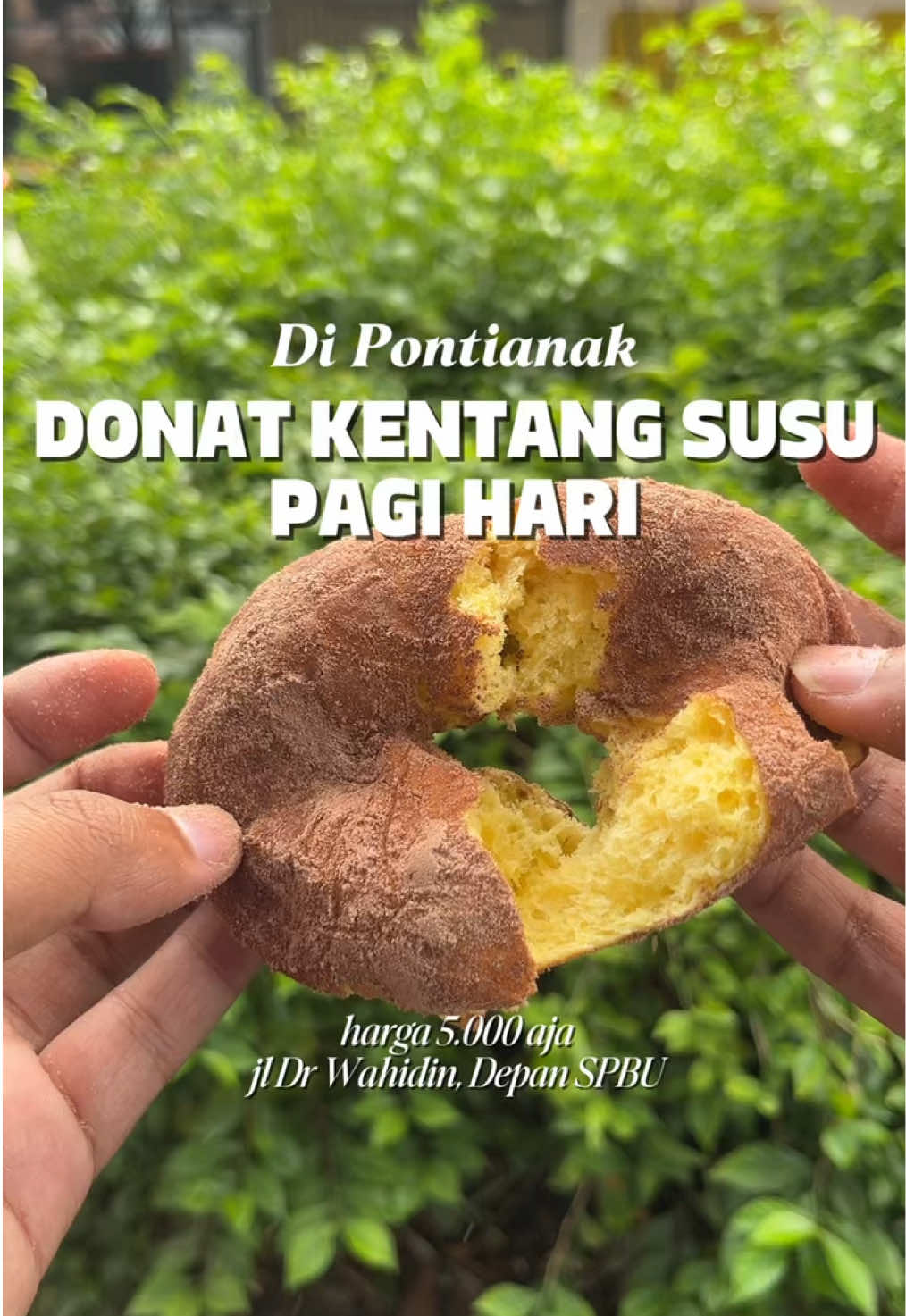 DONAT KENTANG SUSU CUMA 5 RIBUAN DI PONTIANAK 💫🫠 Astaga nikmat banget, lembut, dan manisnya pas! Cocok buat sarapan, ngemil, atau bekal kantor. Gak bohong, ini recomended parah! By ibu @wahjiyah achmad  📍 Lokasi: Tepat di depan SPBU Jalan Dr. Wahidin, Kota Pontianak. ⏰ Jam Buka: Pagi banget! Dari jam 6.00 pagi sampai 12.00 siang (atau sampai habis!). #donatpontianak #donatkentangsusu #kulinerpontianak #jajananpontianak #streetfood 
