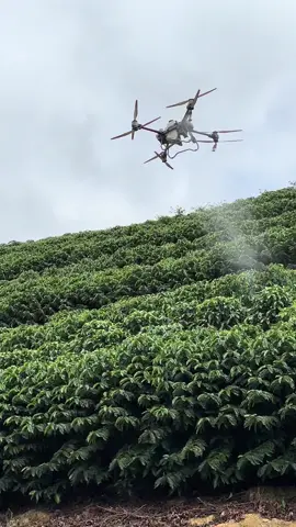 Falo que é drone 🫡🚁 #cafe #drone #agriculture #dji #t50 