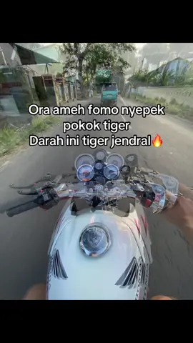 #fyp #tigergank 