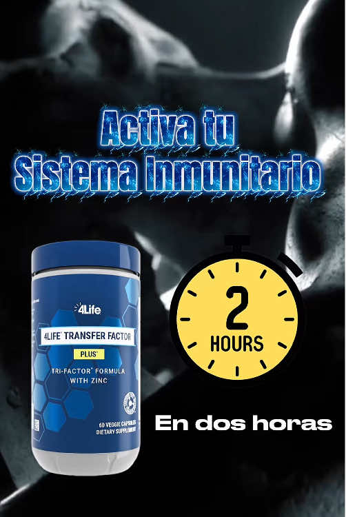 👨🏻‍🔬🔬🧪Clínicamente comprobado que activa tu sistema inmunológico🛡️en el transcurso de dos horas.✌🏻🕑 Cómo funciona 4Life Transfer Factor® 🤔 El recorrido de una cápsula a través del cuerpo💊🩻  Al seguir el recorrido de una cápsula de 4Life Transfer Factor por el cuerpo se comprende la manera en que se activa el sistema inmunitario en el transcurso de dos horas. ⏰  Cuando cuentas con un sistema inmunitario inteligente y alerta, tú puedes defenderte contra las amenazas que enfrentas diariamente y vivir tu vida al máximo. Es por eso que millones de personas en todo el mundo han elegido respaldar su sistema inmunitario con los productos 4Life Transfer Factor.  Los productos 4Life Transfer Factor ayudan al sistema inmunitario a reconocer posibles amenazas a la salud, responder ante ellas y recordarlas. 📲💬 Escríbenos por mensaje interno y recibe más información. 👨🏻‍💻👩🏻‍💻 🚛📦𝙀𝙣𝙩𝙧𝙚𝙜𝙖 𝙂𝙍𝘼𝙏𝙄𝙎 𝙖 𝙩𝙪 𝙙𝙤𝙢𝙞𝙘𝙞𝙡𝙞𝙤.🏠 #4Life #transferfactor #SaludyBienestar #sistemainmunológico #sistemainmune