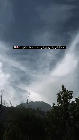 جوڑتوڑ کی اس دنیا میں ہر چیز قابل مرمت ہے سوائے اعتبار کے🌸🤍 #foryoupage #poetrylines #aestheticvideos #poetry 