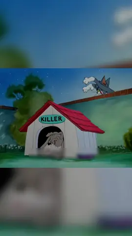 Tom trổ tài guitar khiến Jerry phát điên,Spike của bó tay#hoathinh #cartoon #tomandjerry 