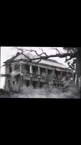 || Halloween at Glengallan || The ultimate housed house. Come face to face with the Ghosts of Glengallan's past, but be warned: This is not for the faint hearted. Tickets are exclusively only available to the first 50 people.  26th of October 7pm-8pm  Glengallan Homestead  Enter. . . If you dare. . .  https://www.eventbrite.com.au/e/halloween-at-glengallan-tickets-1752252557569 #halloween #hauntedtiktok  #haunted  #hauntedhouse #halloweenaustralia 