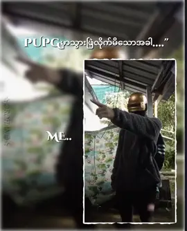 #pupgဆော့တဲ့သူတွေကိုသွားမဖြဲရဲပါဝူးဗျာ....#fypシ゚viral🖤tiktok☆♡🦋myvid #ဒီတစ်ပုဒ်တော့fypပေါ်တင်ပေးပါကွာ #viewတွေရှယ်ကျ #foryoupage 