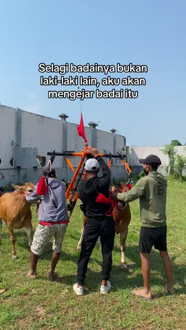 #jetmatic #jetmaticketapang #karapansapimadura #karapansapi #promomakan1010 